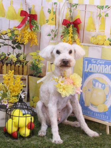 20240413まろんくん